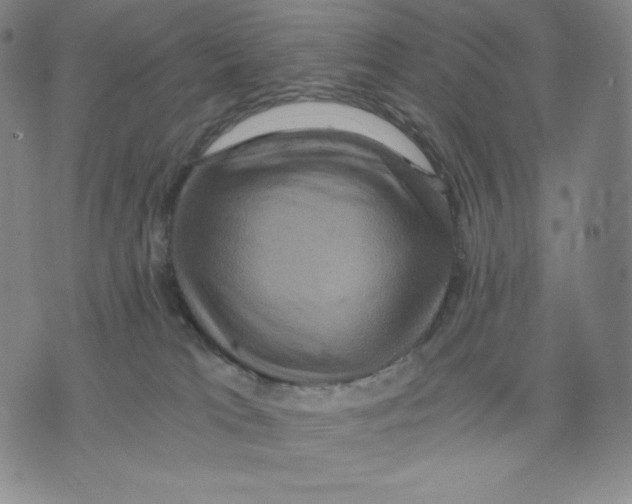 X0000075860037200610151646