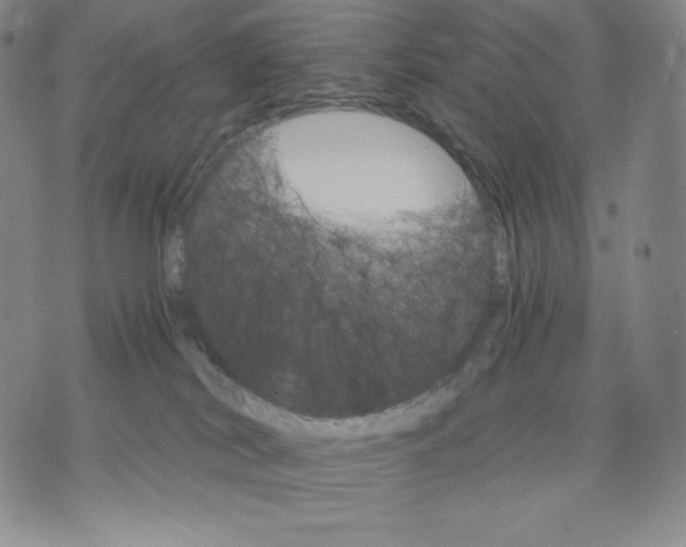 X0000075860038200610151646