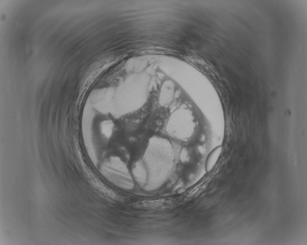 X0000075860049200610151645