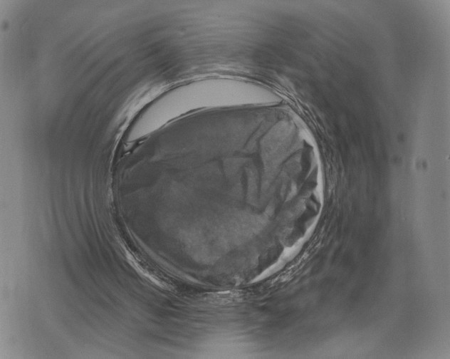 X0000075860050200610151645