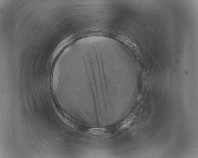 X0000075860051200610151645