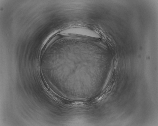 X0000075860052200610151645