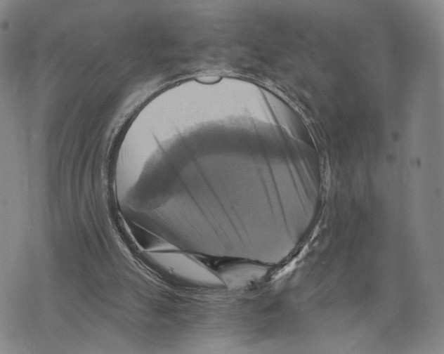 X0000075860055200610151645