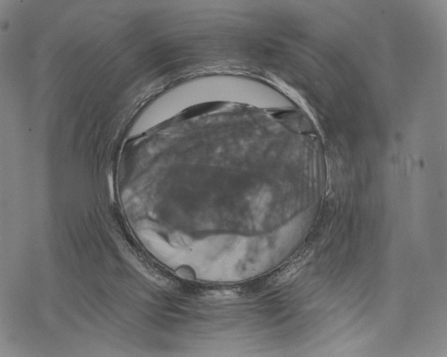 X0000075860061200610151646