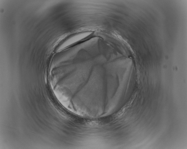 X0000075860062200610151646