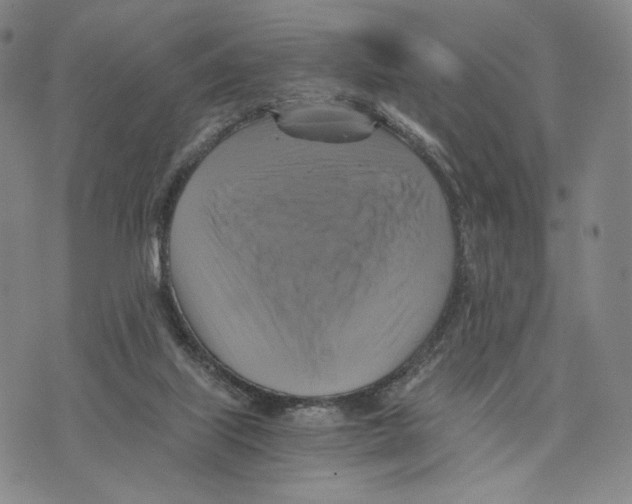 X0000075860067200610151646