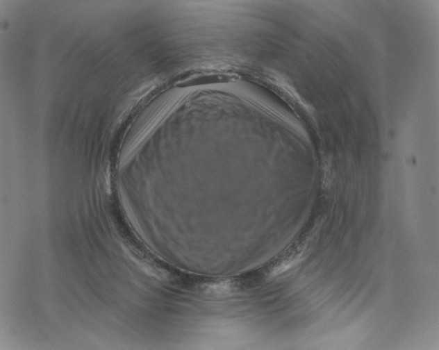 X0000075860068200610151646