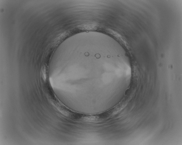 X0000075860069200610151646