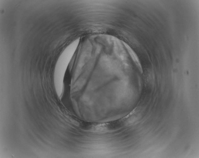 X0000075860078200610151646