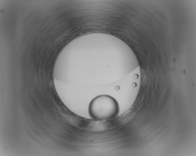 X0000075860082200610151646