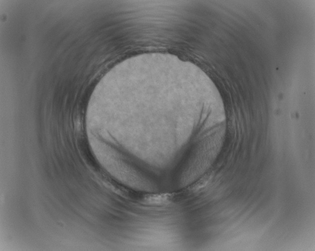 X0000075860084200610151646