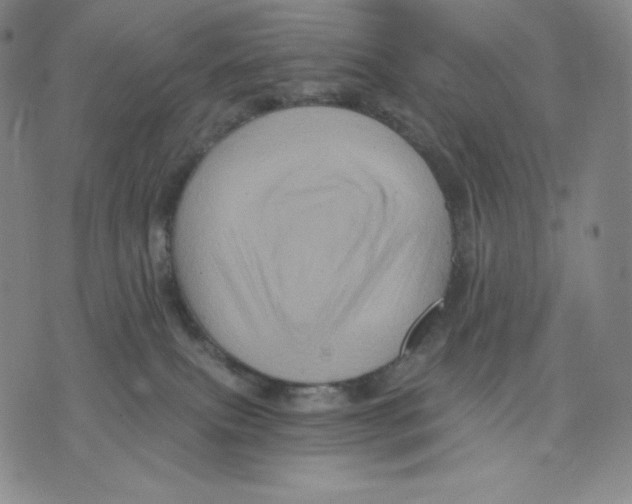 X0000075860087200610151646