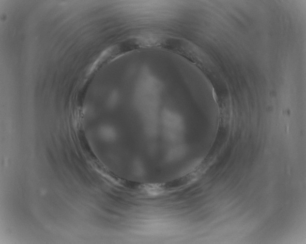 X0000075860093200610151646