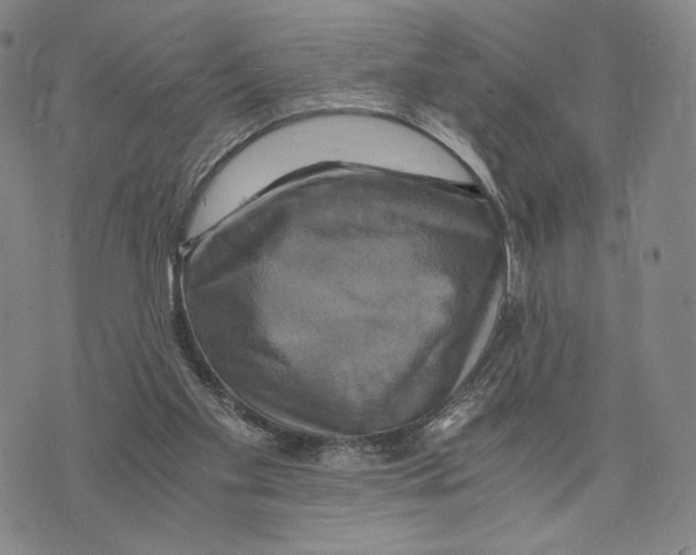X0000075860109200610151645