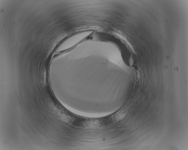 X0000075860110200610151645