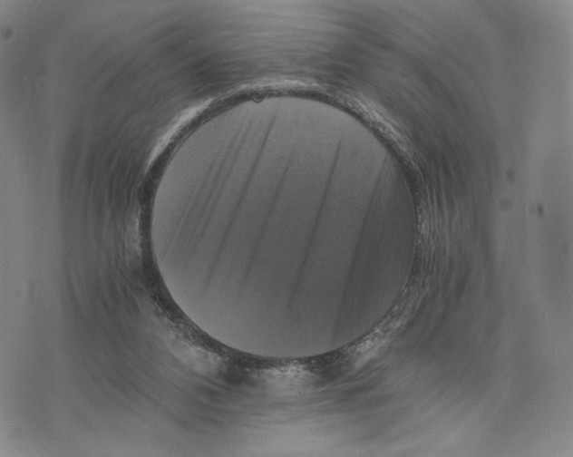 X0000075860112200610151645