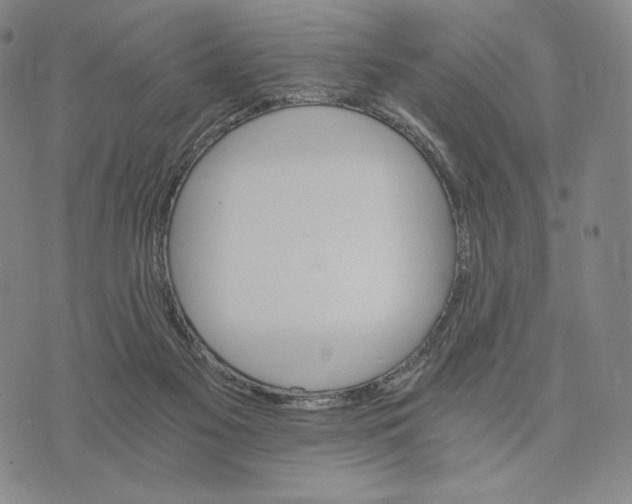 X0000075860117200610151645
