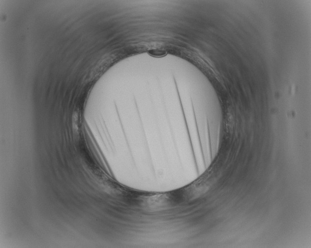X0000075860122200610151645