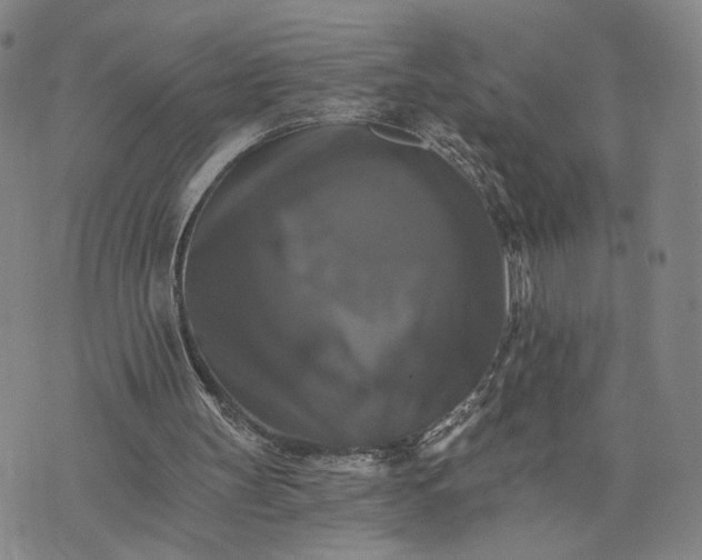 X0000075860147200610151644