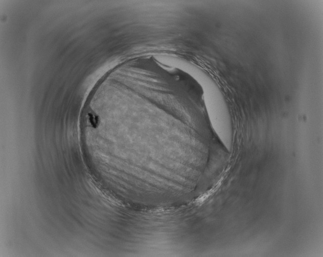 X0000075860148200610151644