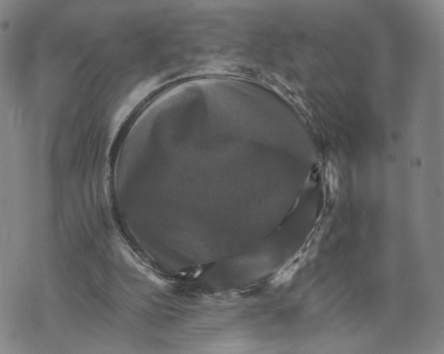 X0000075860152200610151644