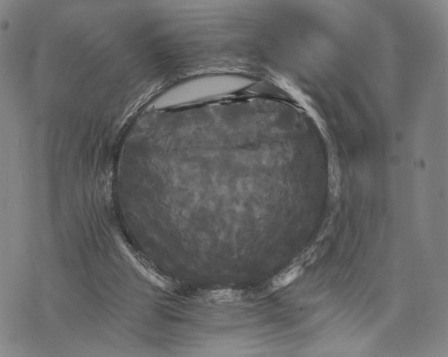 X0000075860153200610151644