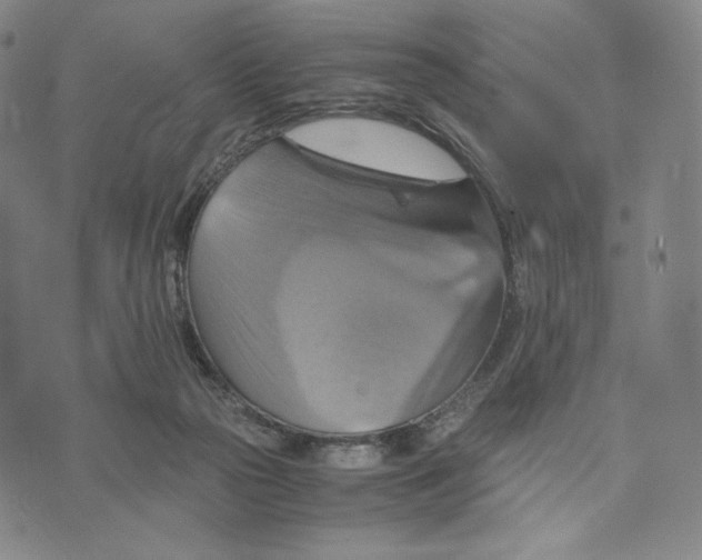 X0000075860169200610151644