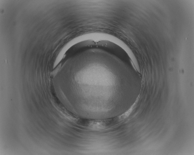 X0000075860174200610151644
