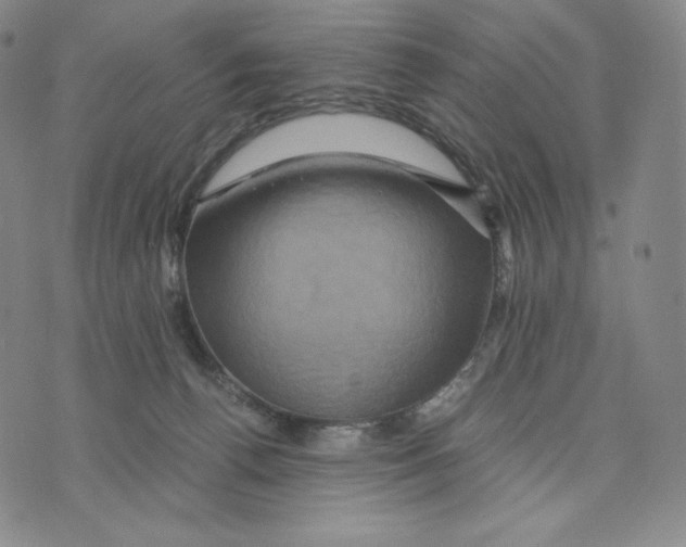 X0000075860176200610151644