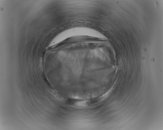 X0000075860178200610151644
