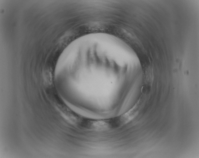 X0000075860183200610151644