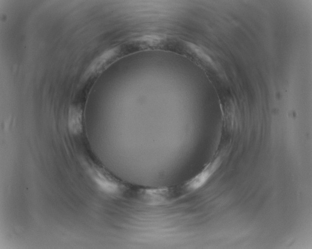 X0000075860188200610151644