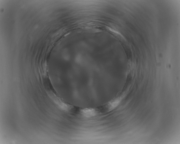 X0000075860189200610151644
