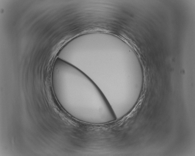 X0000075860193200610151644