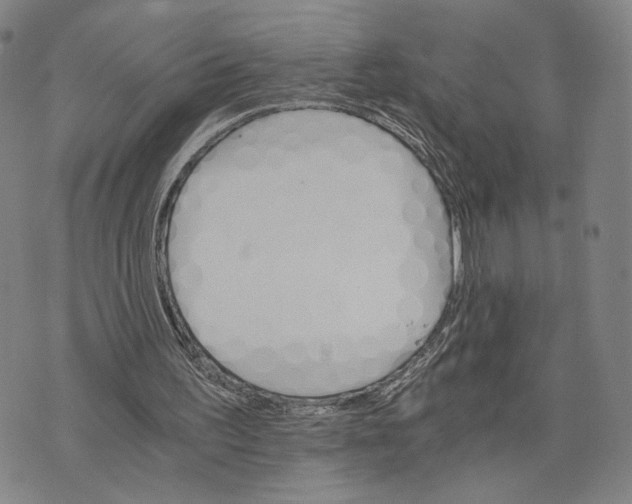 X0000075860195200610151644