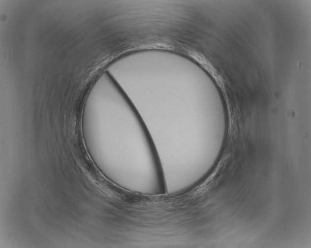 X0000075860201200610151644