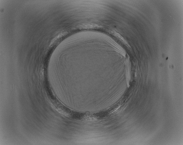 X0000075860207200610151643