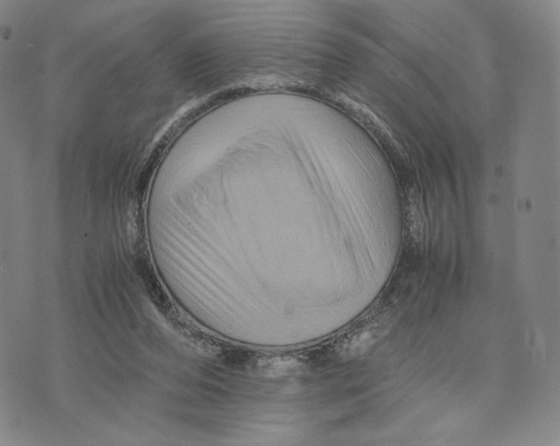 X0000075860208200610151643