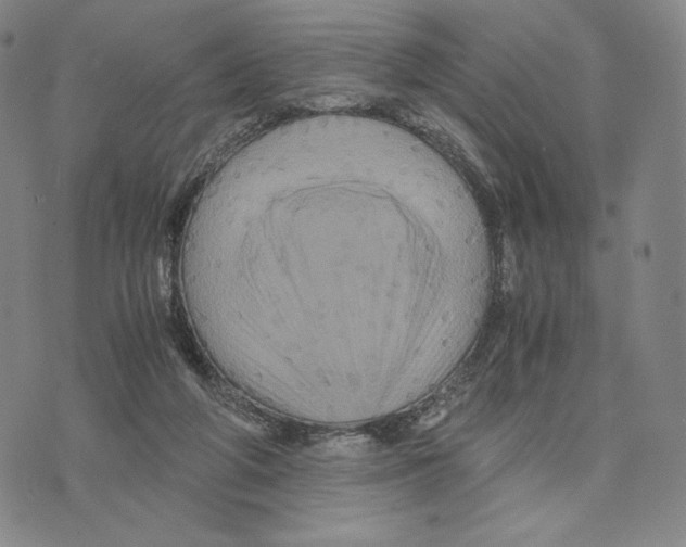 X0000075860210200610151643
