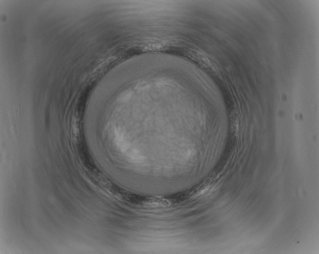 X0000075860215200610151643