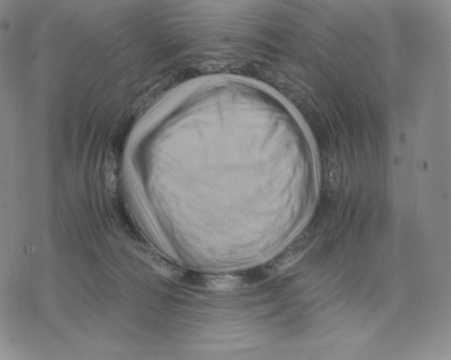 X0000075860226200610151643