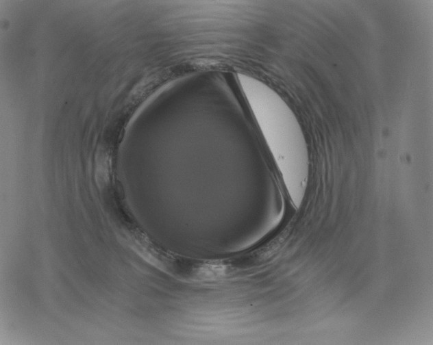 X0000075860227200610151643