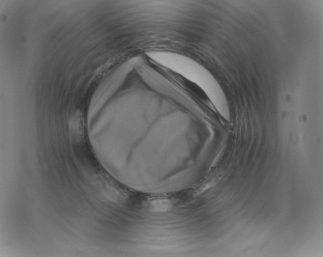 X0000075860228200610151643