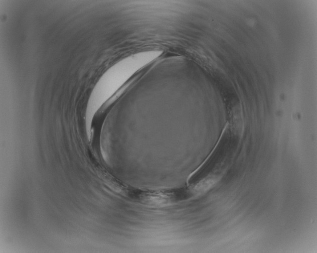 X0000075860229200610151643