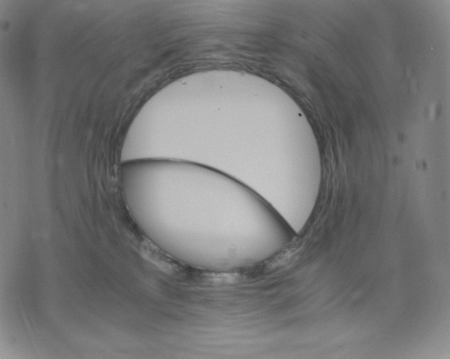 X0000075860233200610151643