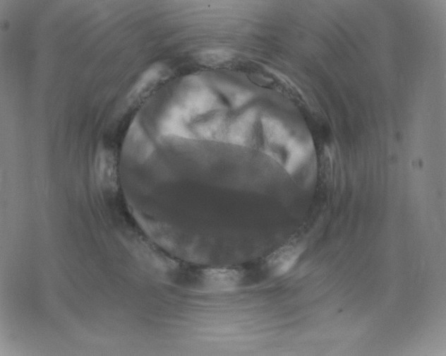 X0000075860234200610151643