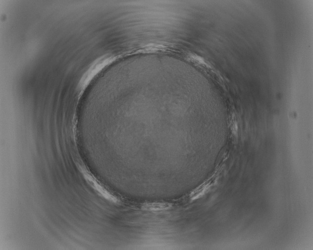 X0000075860242200610151642