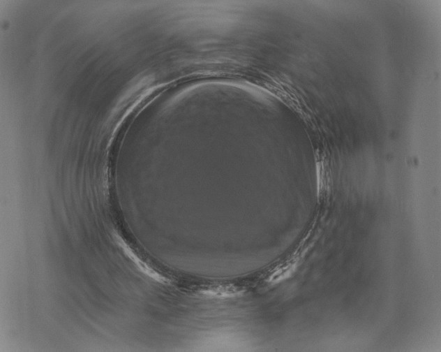X0000075860243200610151642
