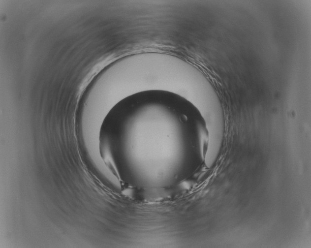 X0000075860244200610151642