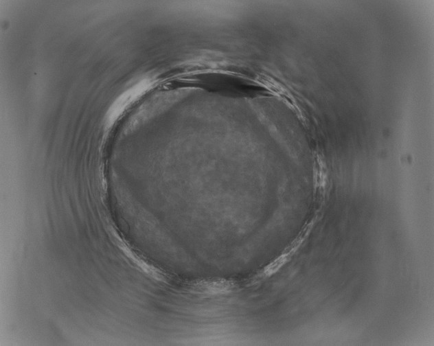 X0000075860245200610151642